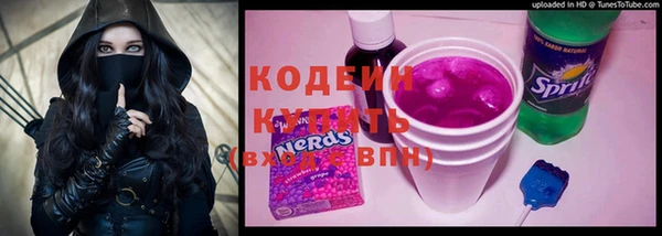 ГАЛЛЮЦИНОГЕННЫЕ ГРИБЫ Заводоуковск