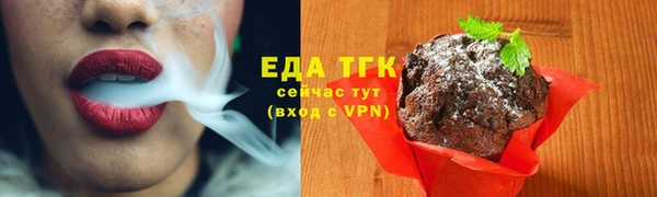 тгк Аркадак