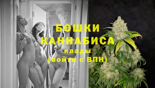 spice Армянск