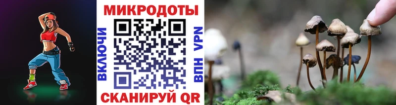 закладка  Руза  Псилоцибиновые грибы Cubensis 